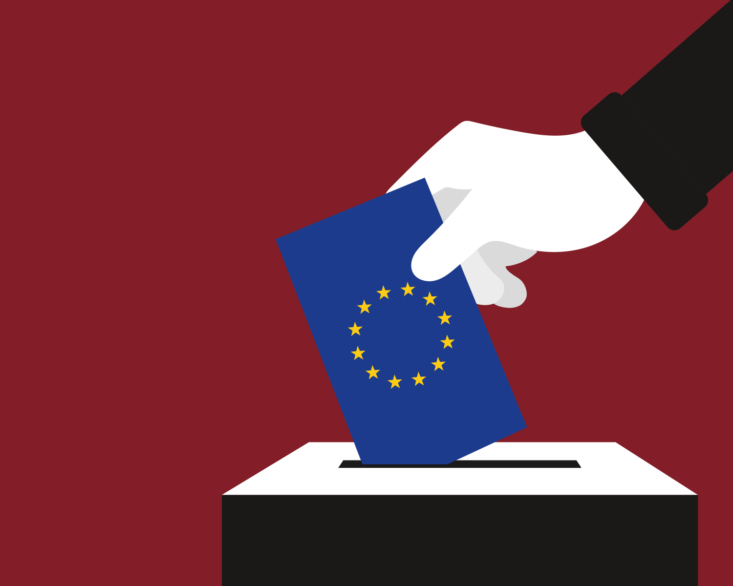IL NUOVO ANNO PARLA EUROPEO